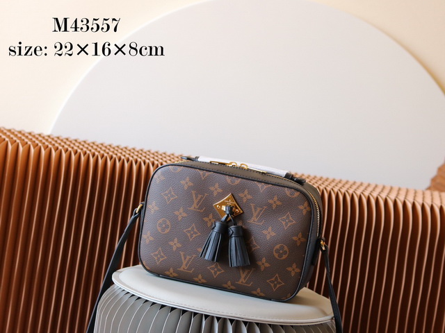 Louis Vuitton M43557 coffee